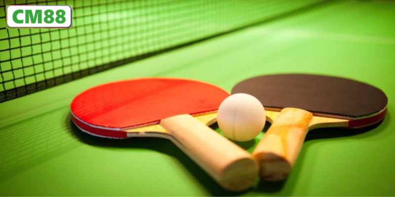 C�c Gi?i ??u B�ng B�n L?n C� M?t Tr�n CM88