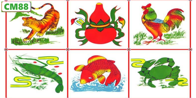 Ngu?n G?c V� � Ngh?a C?a Tr� B?u Cua