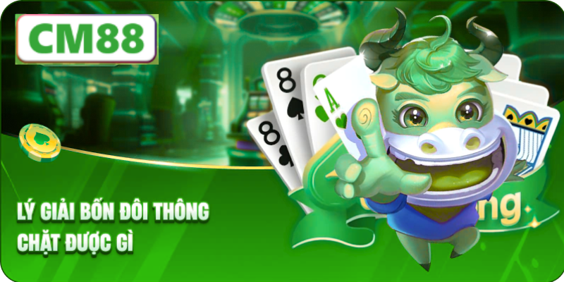 T?ng quan v? B?n ?�i Th�ng L� G�